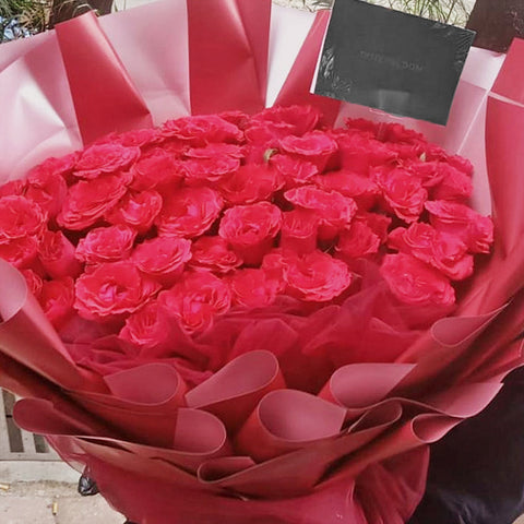 [Valentine] La Mera Rose Giant Flowers