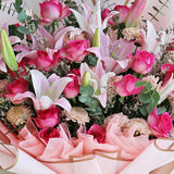 [Valentine] Pink Spencer Giant Flowers