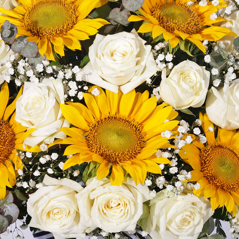 Love & Sunshine in Vase