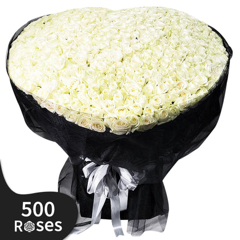 500 Days of Blooming Roses Giant Flowers
