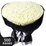 500 Days of Blooming Roses Giant Flowers
