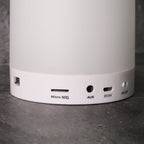 Outerbloom Custom Melodia Light Bluetooth Speaker
