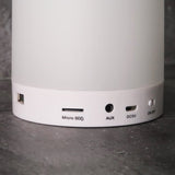 Outerbloom Custom Melodia Light Bluetooth Speaker