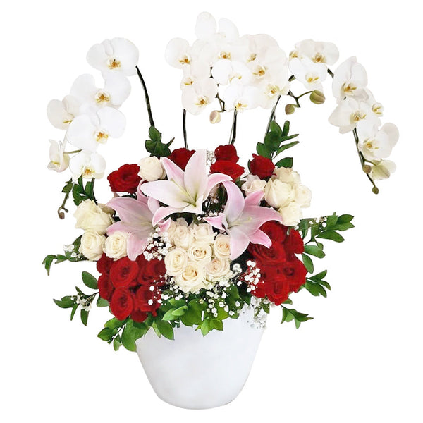 Jual Orchid Palace in Vase Harga Terbaik April 2026 | Outerbloom Business