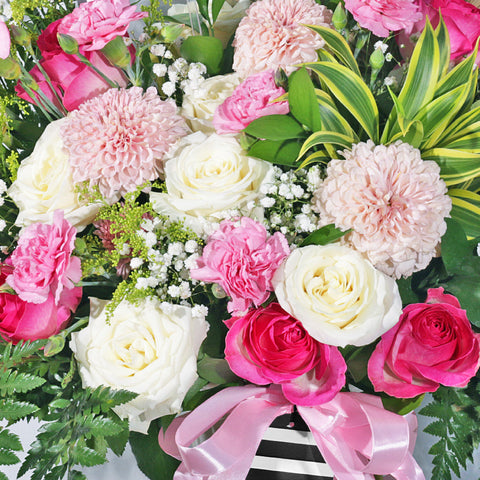 Pink Princess in Vase