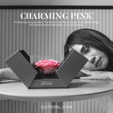 The Novo Astoria - Charming Pink