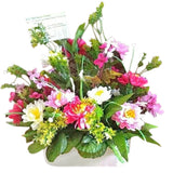 Gambar Pinky Promise Jenis Bunga