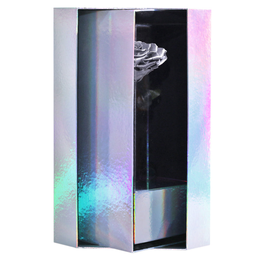 Enchanted Grande Love Pirouette - Moonlit Silver