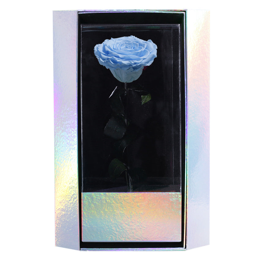 Enchanted Grande Love Pirouette - Sky Blue