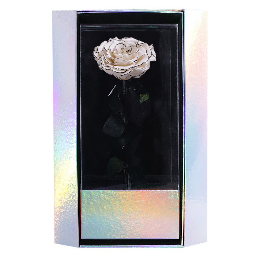 Enchanted Grande Love Pirouette - Velvet Monochrome