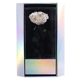 Enchanted Grande Love Pirouette - Velvet Monochrome