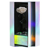 Enchanted Grande Love Pirouette - Velvet Monochrome