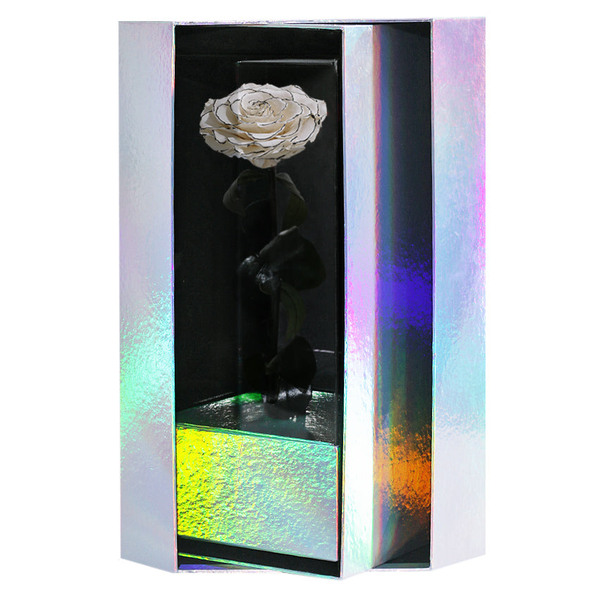 Enchanted Grande Love Pirouette - Velvet Monochrome