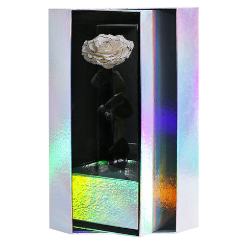 Enchanted Grande Love Pirouette - Velvet Monochrome