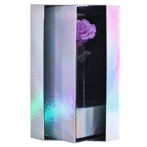 Enchanted Grande Love Pirouette - Majestic Lilac