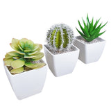 Plantae Trio Artificial
