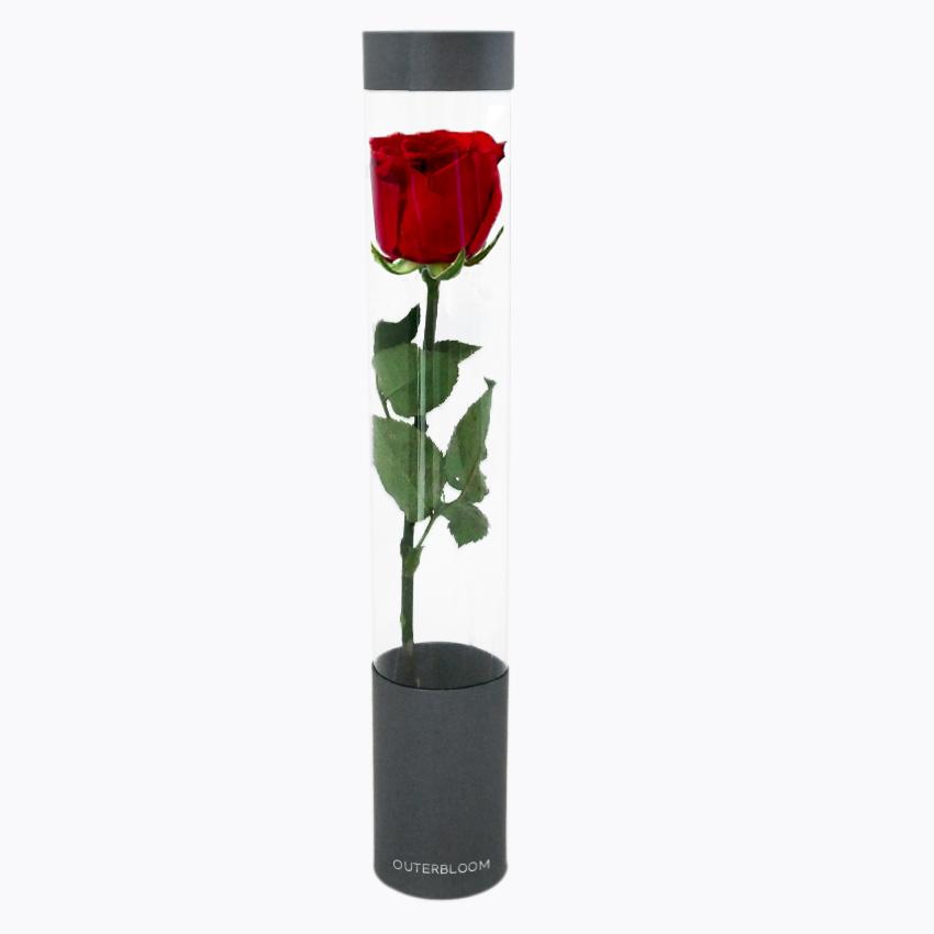 Outerbloom Quick Love