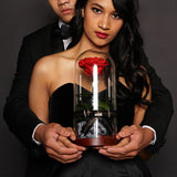 The Novo Enchanted Dome - Wine Red