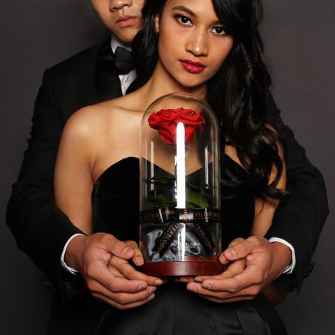 The Novo Enchanted Dome - Passionate Red