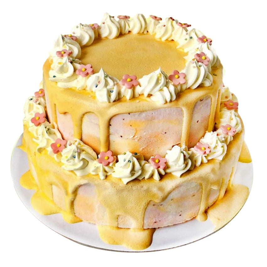 Sweetooth Two Tier Ice Cake
