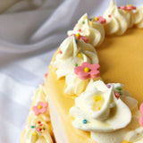 Sweetooth Two Tier Ice Cake