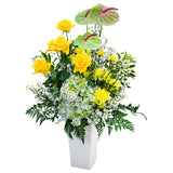 Serene & Shine in Vase