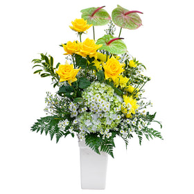 Serene & Shine in Vase