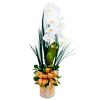 Splendid Orchid in Vase
