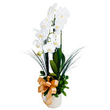 Splendid Orchid in Vase