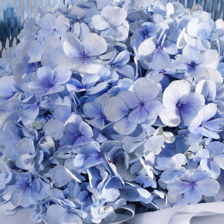 The Celine Bouquet