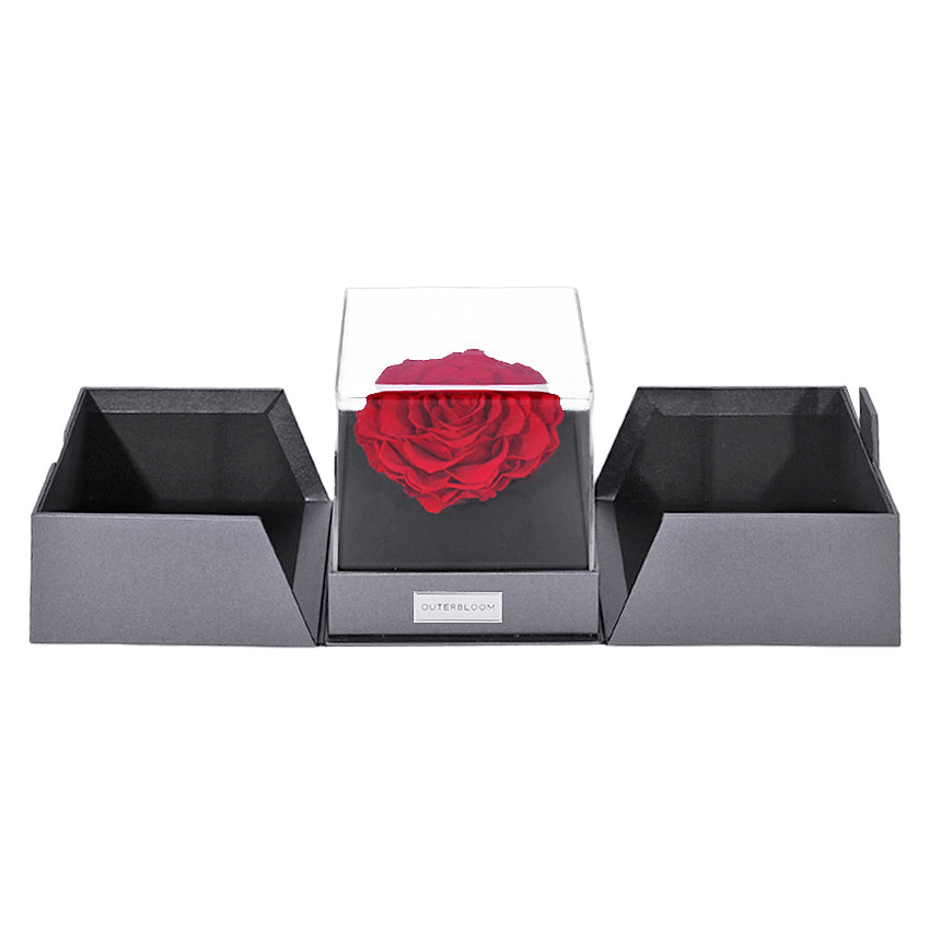 The Novo Astoria - Passionate Red
