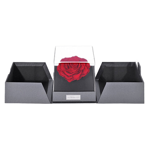 The Novo Astoria - Passionate Red