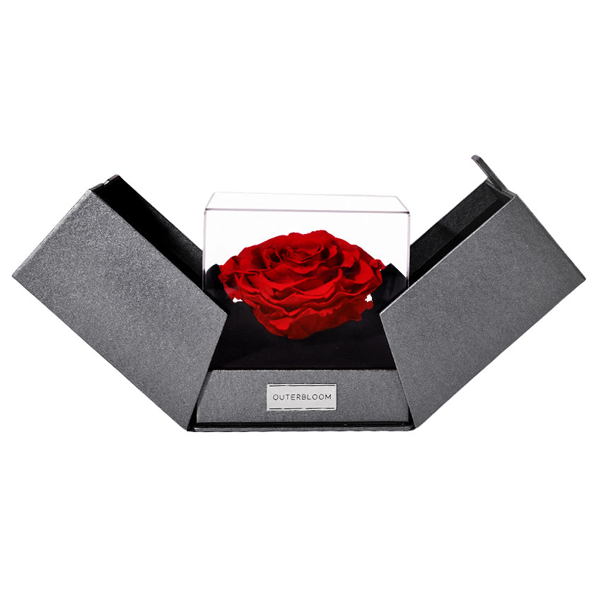 The Novo Astoria - Passionate Red