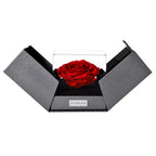 The Novo Astoria - Passionate Red