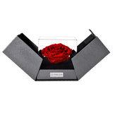 The Novo Astoria - Passionate Red