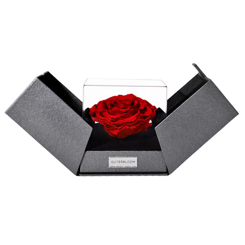 The Novo Astoria - Passionate Red