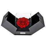 The Ultimate Forever Mine Set