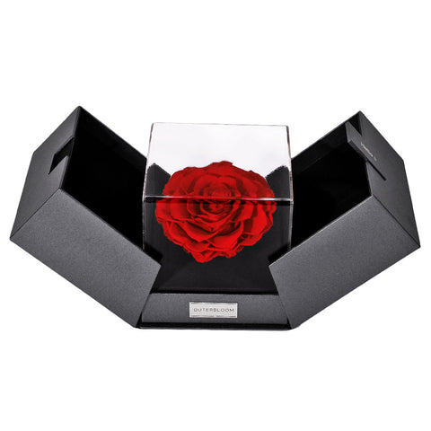 The Ultimate Forever Mine Set