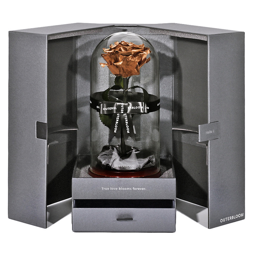 The Novo Enchanted Dome - Champagne Gold