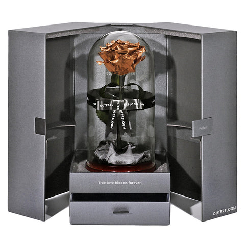 The Novo Enchanted Dome - Champagne Gold