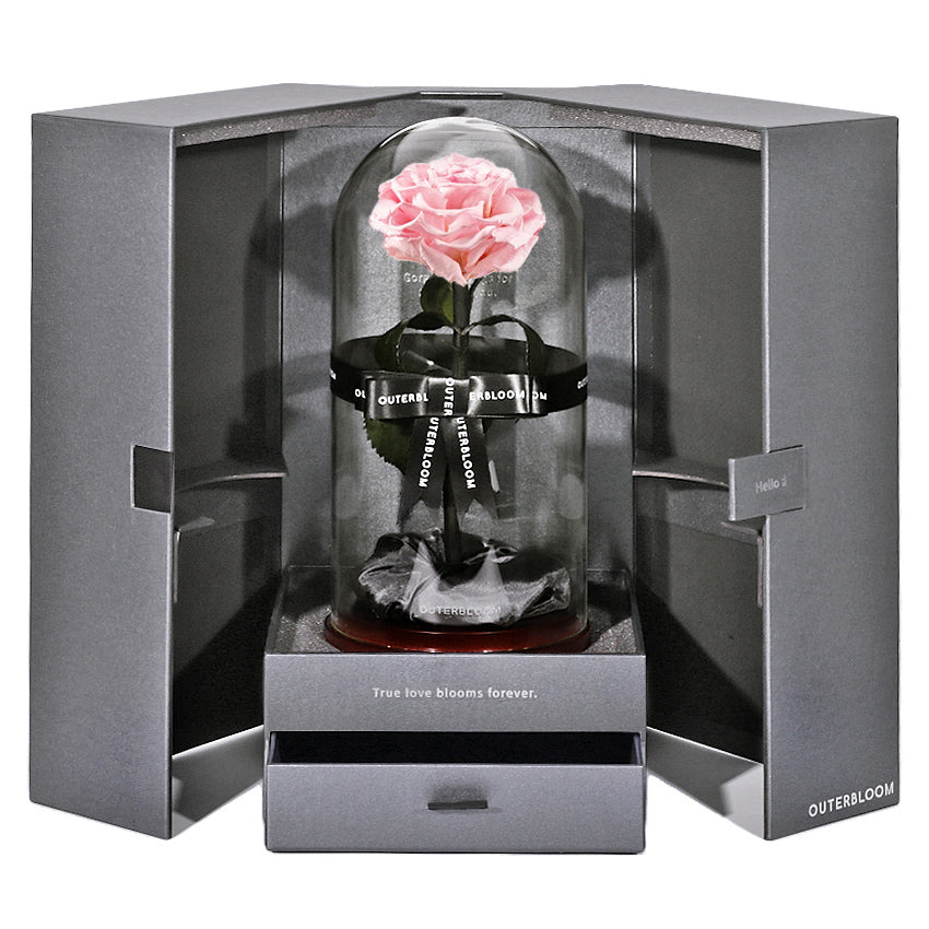 The Novo Enchanted Dome - Innocent Pink