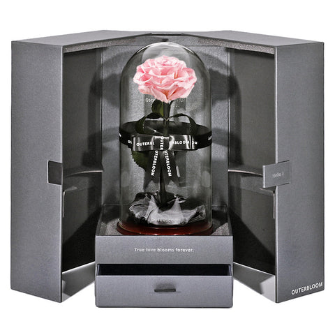 The Novo Enchanted Dome - Innocent Pink