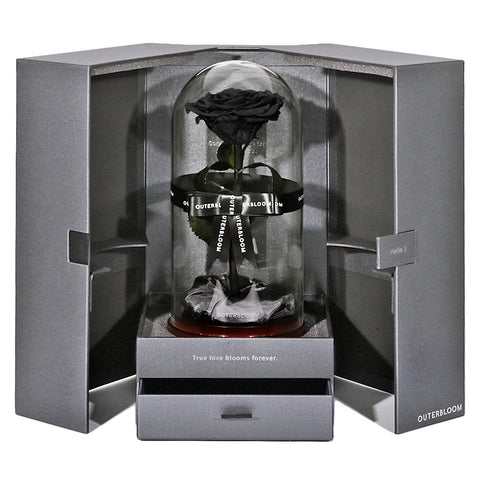 The Novo Enchanted Dome - Midnight Black