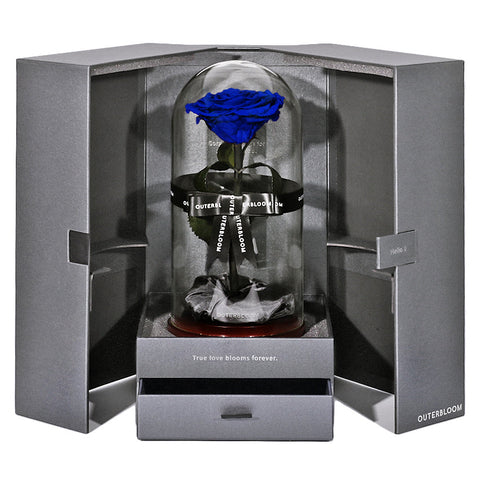 The Novo Enchanted Dome - Midnight Blue