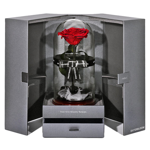 The Novo Enchanted Dome - Passionate Red