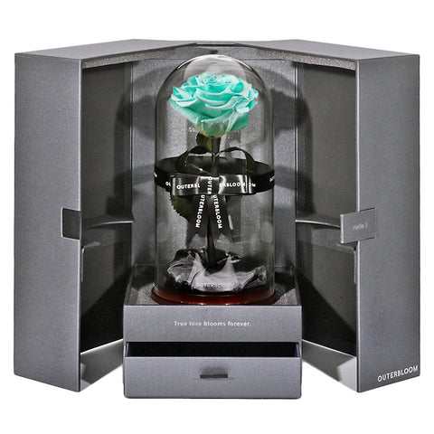 The Novo Enchanted Dome - Tiffany Blue