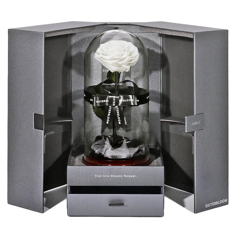 The Novo Enchanted Dome - Angelic White