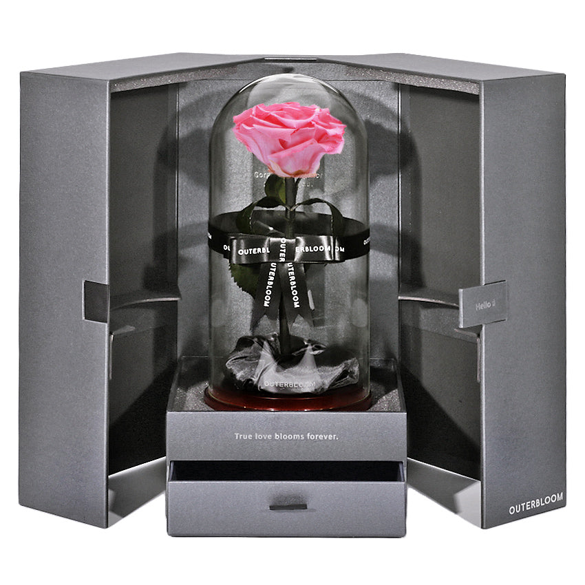 The Novo Enchanted Dome - Charming Pink