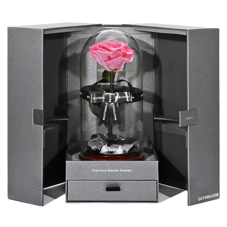 The Novo Enchanted Dome - Charming Pink