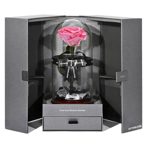 The Novo Enchanted Dome - Charming Pink